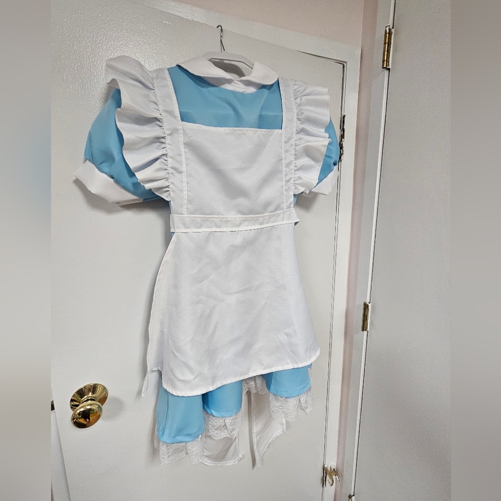 Juniors Alice In Wonderland Costume Size L